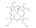 Nitrosyl-Heme