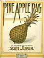 PineAppleRagCover08