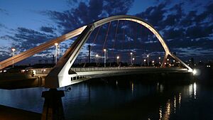 Puente de la Barqueta noche