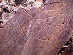 Rock art in Côa