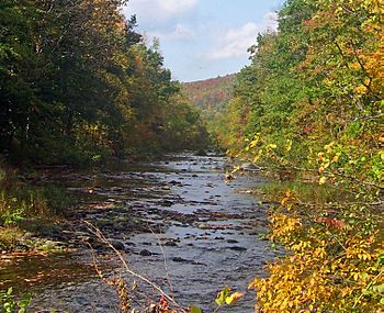 Rondout Creek near Napanoch, NY.jpg