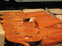 Salmon Fish