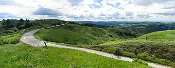 San Francisco Bay Area Skyline Blvd.jpg