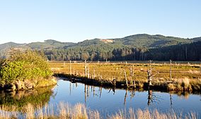 Siletz nwr.jpg