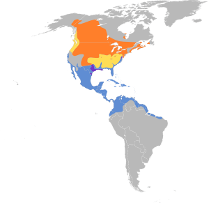 Spatula discors map.svg