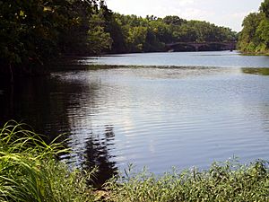 Spring River 2006-07-03 210422