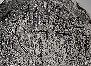 Stela Cambyses Apis closeup.jpg