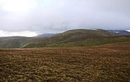 Stybarrow Dodd from Gt D