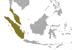 Sunda Loris area.png