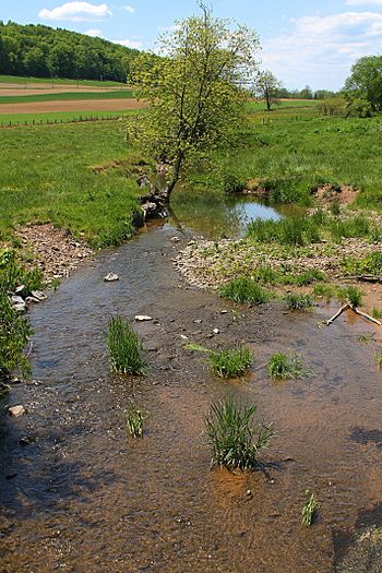 Susquehecka Creek looking upstream.jpg