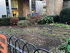 TCD Herb Garden, winter 2024