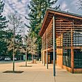 The Portola Valley Library -- Designed by Goring & Straja with Siegel & Strain -wood -sustainable -leed -design -architecture -landscape -path -tree -library -redwood -evening -glow (12243581666)