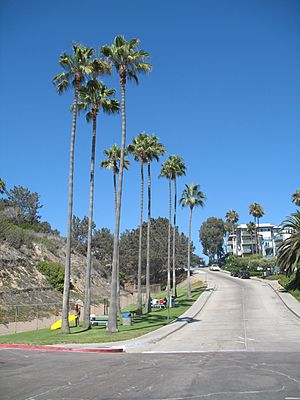 Tourmaline Surfing Park looking uphill