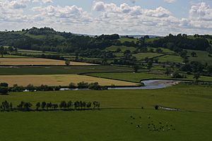 View from Dinefwr Castle