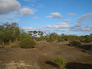 Wallaroo-mines-0749