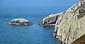 Ynys Arw - North Stack near Caergybi (Holyhead), Ynys Mon, Wales 09