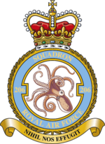 Squadron badge