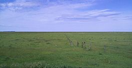 Beaverhill Lake 10.jpg