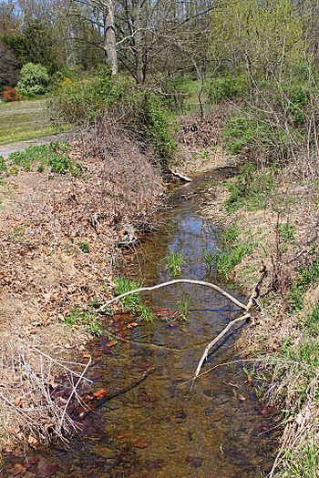 Cox Run looking upstream.jpg