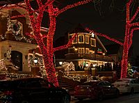 Dyker Lights (62317)