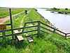 Hen Reedbeds