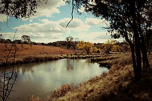 Inglebah Aboriginal Reserve