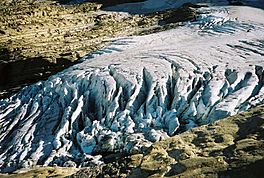 Jackson Glacier terminus.jpg