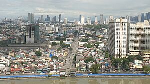 Mandaluyong City View (cropped)