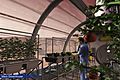 Mars Greenhouse