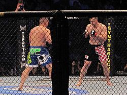 Mirko Cro Cop vs Pat Barry UFC 115