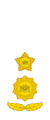 Myanmar officer rank insignia 4.png