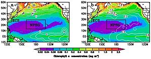 Nitrate and Phosphate Pacific Ocean