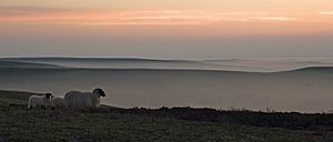 North yorks moors