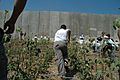 Palestinian children and Israeli wall