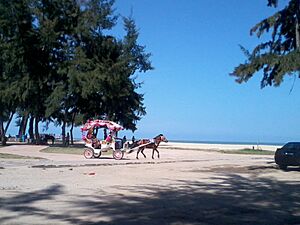 Pantai batu buruk