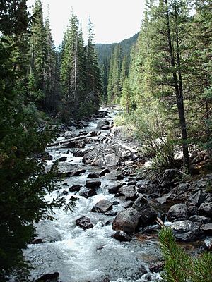 Poudre rapids