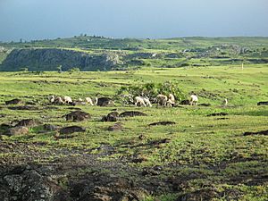 Rodrigues Island, Mauritius-17May2004