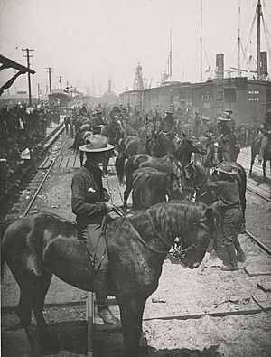 Rough Riders arrive at Tampa