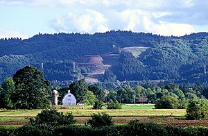 Sauvie Island farm MathewDodson