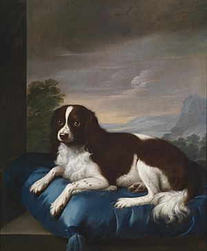 Sawrey Gilpin Englischer Springer Spaniel auf Kissen