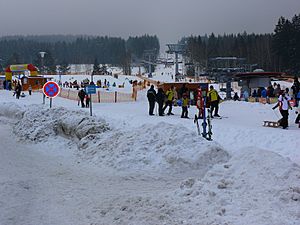 Ski-Šumava