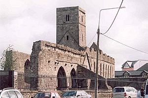 Sligo abbey