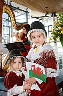 St David's Day at the Senedd - Dydd Gŵyl Dewi yn y Senedd 2014 (12949993074)