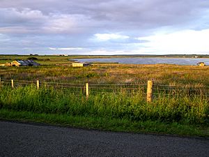 St John's Loch near Dunnet Head - geograph.org.uk - 326534