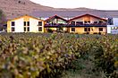 Sula Vineyards.jpg