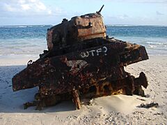 Tank on Flamenco Beach 2