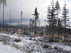 Tatra storm