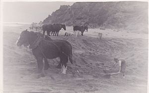 Unblocking Aire River mouth 1948