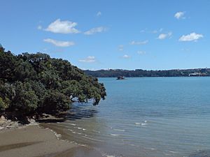 WatchmanIslandWaitemata.jpg