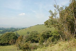 Wye Downs 1